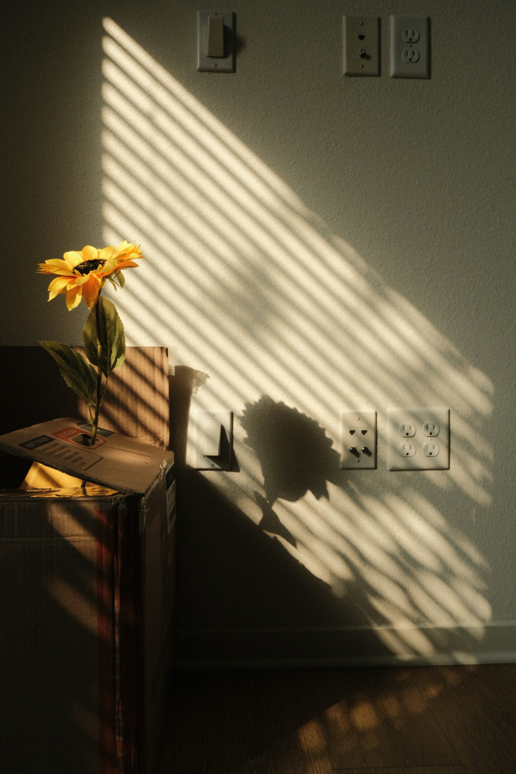 https://unsplash.com/photos/yellow-flower-on-brown-wooden-table-abqpvWSZh7k?utm_content=creditShareLink&utm_medium=referral&utm_source=unsplash